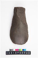 藏品(磨製石斧)的圖片