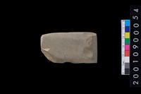 藏品(有段石錛)的圖片