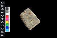 藏品(有段石錛)的圖片