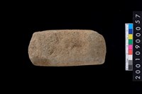 藏品(有段石錛)的圖片