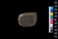 藏品(石錛)的圖片