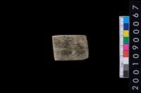 藏品(玉錛)的圖片