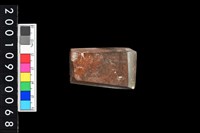 藏品(有段石錛)的圖片