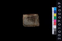 藏品(有段石錛)的圖片