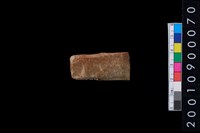 藏品(有段石錛)的圖片