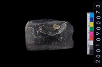 藏品(有段石錛)的圖片