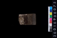 藏品(有段石錛)的圖片