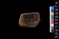 藏品(有段石錛)的圖片