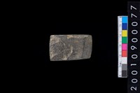 藏品(石錛)的圖片