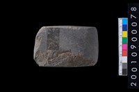 藏品(有段石錛)的圖片