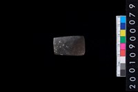 藏品(有段石錛)的圖片