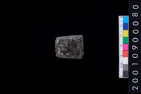 藏品(有段石錛)的圖片