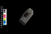 藏品(有段石錛)的圖片