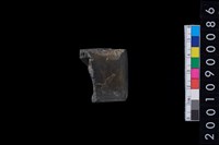 藏品(有段石錛)的圖片