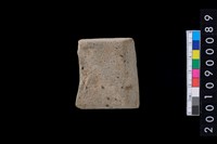 藏品(石錛)的圖片