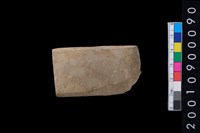 藏品(有段石錛)的圖片