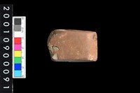 藏品(有段石錛)的圖片