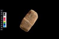 藏品(有段石錛兼石錘)的圖片