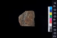 藏品(有段石錛)的圖片