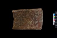 藏品(石犁殘件)的圖片