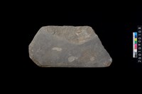 藏品(石斧)的圖片