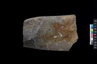 藏品(石犁殘件)的圖片