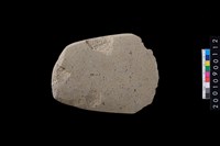 藏品(石斧)的圖片