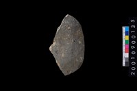 藏品(石斧)的圖片