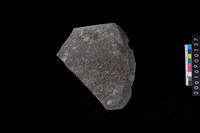 藏品(石鏟)的圖片