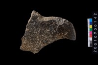 藏品(石斧)的圖片