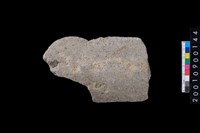 藏品(石斧)的圖片