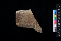 藏品(磨製有肩石斧)的圖片