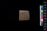 藏品(石錛)的圖片