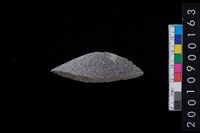 藏品(石斧)的圖片