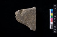 藏品(有肩石斧)的圖片