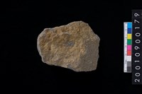 藏品(石斧)的圖片