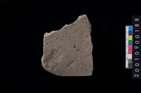 藏品(石斧)的圖片