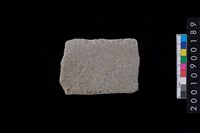 藏品(石斧)的圖片