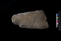 藏品(石斧)的圖片