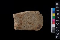 藏品(石斧)的圖片