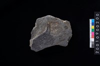 藏品(石斧)的圖片