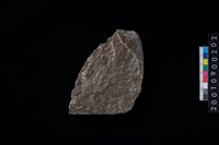 藏品(石斧)的圖片