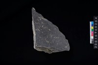 藏品(石斧)的圖片