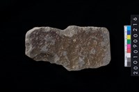 藏品(石鏟)的圖片