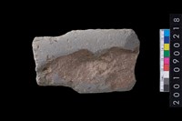 藏品(有肩石斧)的圖片