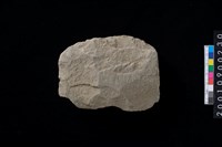 藏品(石斧)的圖片