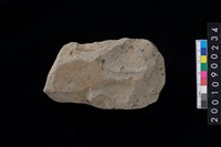 藏品(石斧胚)的圖片