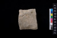 藏品(石斧)的圖片