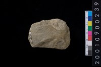 藏品(石斧)的圖片