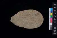 藏品(砥石)的圖片